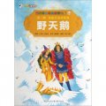 彩繪世界經典童話全集24：野天鵝