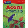 Acorn Grows Up， Unit 2， Book 1