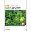 新農村新生活書庫：瓜類蔬菜病蟲害識別與防治