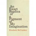 Exact Replica of a Figment of My Imagination: A Memoir [精裝]