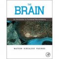 The Brain [精裝] (Watson And Paxinos 神經解剖學概論)
