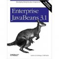 Enterprise JavaBeans 3.1 [平裝]