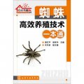 農村書屋系列：蜘蛛高效養殖技術一本通