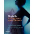 Disability in Pregnancy and Childbirth [平裝] (妊娠和分娩障礙)