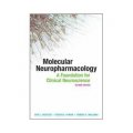Molecular Neuropharmacology: A Foundation for Clinical Neuroscience, Second Edition [平裝]