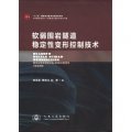 中國隧道及地下工程修建關鍵技術研究書系：軟弱國岩隧道穩定性變形控制技術