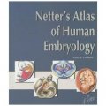 Netter s Atlas of Human Embryology [平裝] (Netter人類胚胎學圖譜)