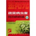 金陽光新農村叢書：蔬菜病蟲害防治路路通