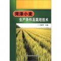菏澤小麥生產條件及栽培技術