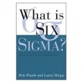 What Is Six SIGMA? [平裝]