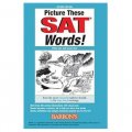 Picture These SAT Words! [平裝]