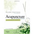 Acupuncture in the Treatment of Pain [精裝] (疼痛針灸治療:綜合研究)