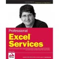 Professional Excel Services