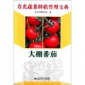 壽光蔬菜種植管理寶典：大棚番茄