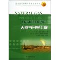 國外油氣勘探開發新進展叢書：天然氣開採工程