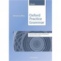 Oxford Practice Grammar Basic Lesson Plans and Worksheets [平裝] (牛津實用語法 初級 教案與作業單)