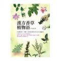 漢方香草植物浴──60種美容、安眠、抗氧化專用SPA美人湯祕方