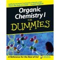 Organic Chemistry I For Dummies [平裝] (有機化學達人迷)