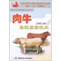 肉牛高效養殖技術