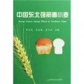 中國東北強筋春小麥