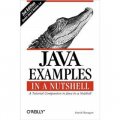 Java Examples in a Nutshell (In a Nutshell (O Reilly))