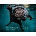 Underwater Dogs [精裝]
