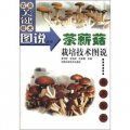 農業關鍵技術圖說叢書：茶薪菇栽培技術圖說