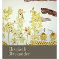 Elizabeth Blackadder [精裝]