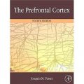 The Prefrontal Cortex [精裝] (前額葉皮層)