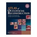 Atlas of Oculofacial Reconstruction [精裝]