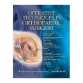Operative Techniques in Orthopaedic Surgery (4 Volume Set) [精裝]