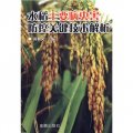 水稻主要病蟲害防控關鍵技術解析