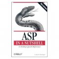 ASP in a Nutshell: A Desktop Quick Reference [平裝]