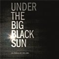 Under the Big Black Sun: California Art 1974-1981 [精裝]