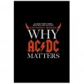 Why AC/DC Matters [精裝]