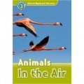 Oxford Read and Discover Level 3: Animals in the Air(Book +CD) [平裝] (牛津閱讀和發現讀本系列--3 空氣中的動物 書附CD套裝)