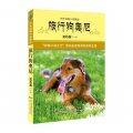 中外動物小說精品（第4輯）：旅行狗奧尼