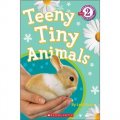 Teeny Tiny Animals [平裝] (小小動物)