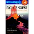 Volcanoes: Mountains of Fire [平裝] (火山爆發)