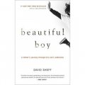 Beautiful Boy: A Father s Journey Through His Son s Addiction [平裝]