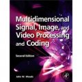Multidimensional Signal Image and Video Processing and Coding