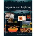 Exposure and Lighting for Digital Photographers Only [平裝] (曝光與光線運用技巧)