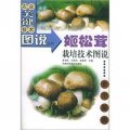 姬松茸栽培技術圖說：食用菌類