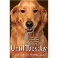 Until Tuesday: A Wounded Warrior and the Golden Retriever Who Saved Him [精裝]