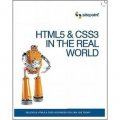 HTML5 & CSS3 In The Real World [平裝]