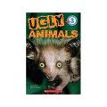 Ugly Animals (Scholastic Reader, Level 3) [平裝] (醜醜的動物)