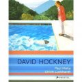 David Hockney: Paintings [平裝]