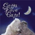 Gotta Love Cats (Gotta Love . . . Books) [精裝]