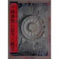 中國佛教石窟考古概要－佛教美術全集18