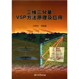 三維三份量VSP方法原理及應用